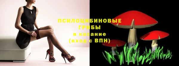apvp Алексеевка