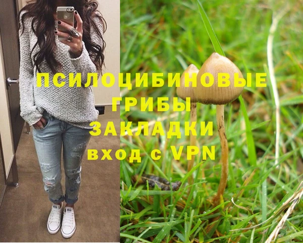 таблы Алексин