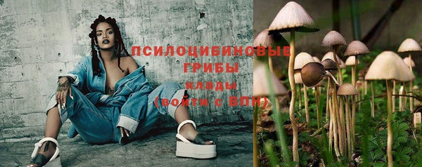 apvp Алексеевка