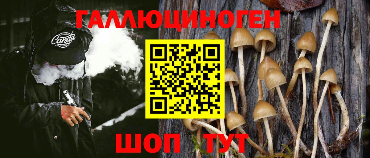 Псилоцибиновые грибы MAGIC MUSHROOMS  Вход с VPN  Псилоцибиновые грибы Magic Shrooms  Заинск 