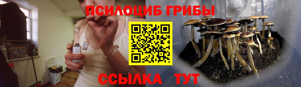 Галлюциногенные грибы прущие грибы Заинск